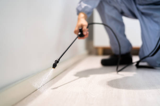 Licensed Termite Control service in Minneapolis, KS - Nex Pest Control