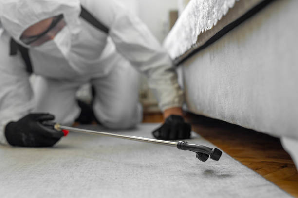 Professional Termite Control technician working in Minneapolis, KS