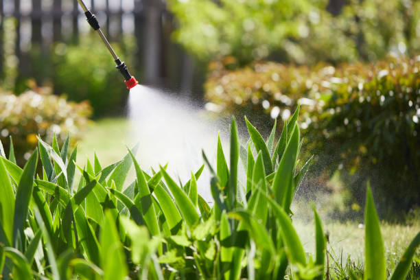 24/7 Emergency Termite Control experts in Minneapolis, KS