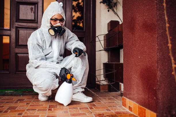 Reliable Termite Control contractor in Minneapolis, KS by Nex Pest Control