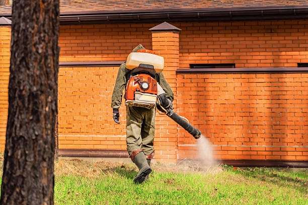 Top rated local Termite Control specialists in Minneapolis, KS